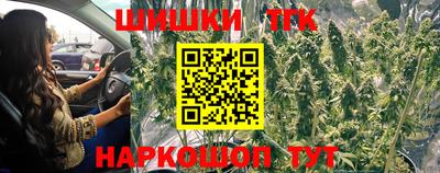 дурь Сланцы