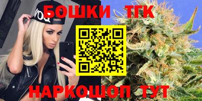 дурь Сланцы