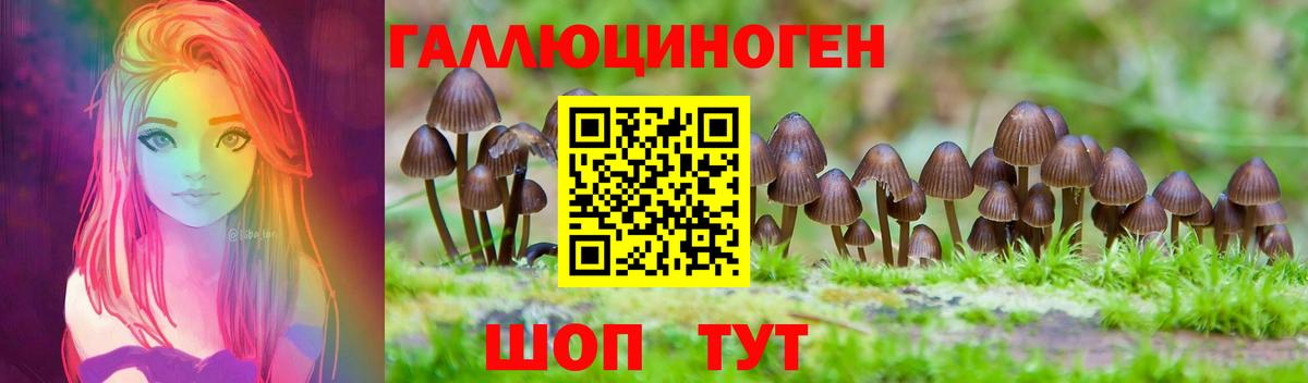 Миллерово  Галлюциногенные грибы мицелий  Вход с VPN  Псилоцибиновые грибы Psilocybe 